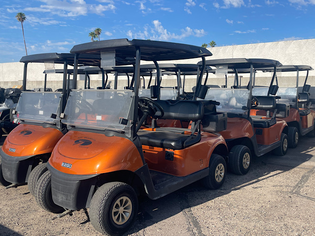 Picture of EZGO RXV Elite 5586480