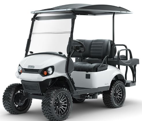 EZGO S4 GAS sample photo / info page