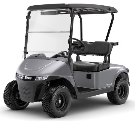 Picture of EZGO Valor Gas Factory Order - 53ValorGas