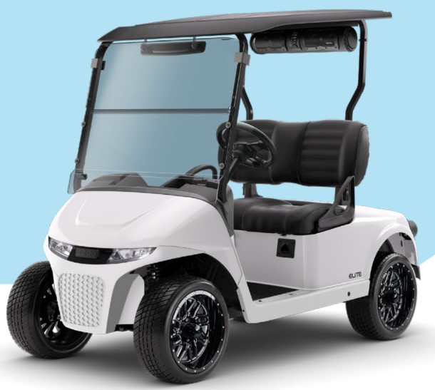 Picture of Paint Color - EZGO Factory - Special Edition - RXV (Factory Order Only)