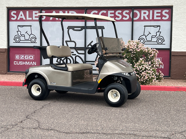 EZGO RXV ELiTE FREEDOM 5949917