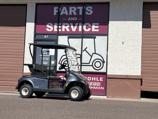 EZGO RXV ELiTE FREEDOM 5964985