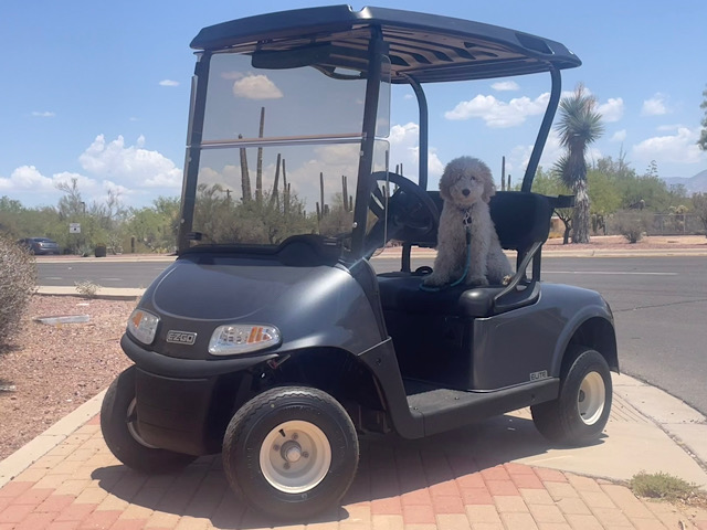 Picture of EZGO RXV Freedom Elite 5575564