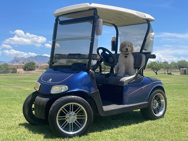 Picture of E-Z-GO RXV FREEDOM ELECTRIC 5013828