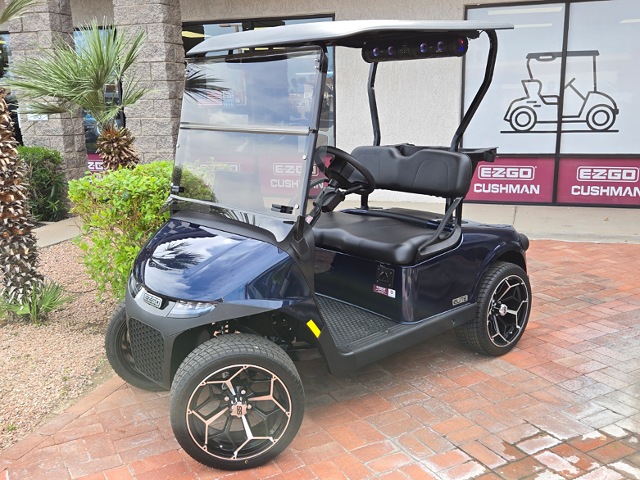 EZGO RXV ELiTE FREEDOM 5950349