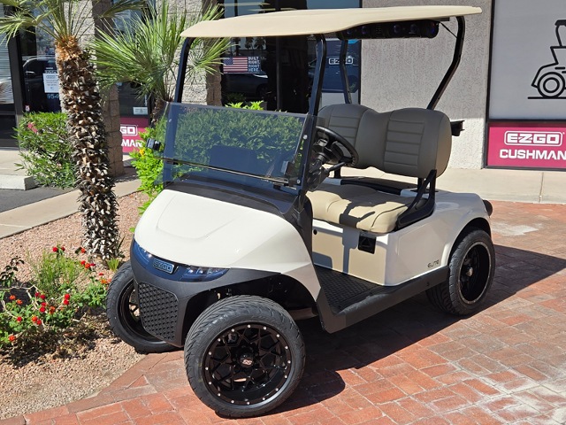 EZGO RXV ELiTE FREEDOM 5960008