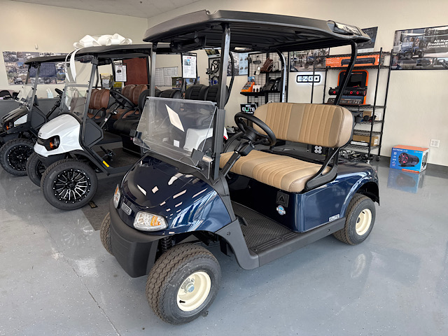 Picture of EZGO RXV Freedom Elite 5532082