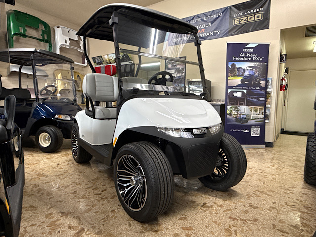 Picture of EZGO RXV ELiTE FREEDOM 120AH 5890511