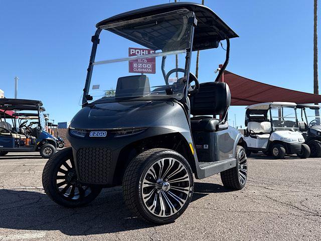 Picture of EZGO RXV2P 5939066