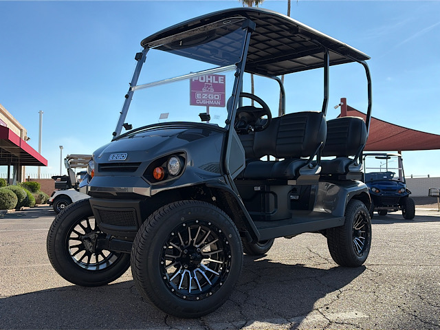 Picture of EZGO Liberty 3665504