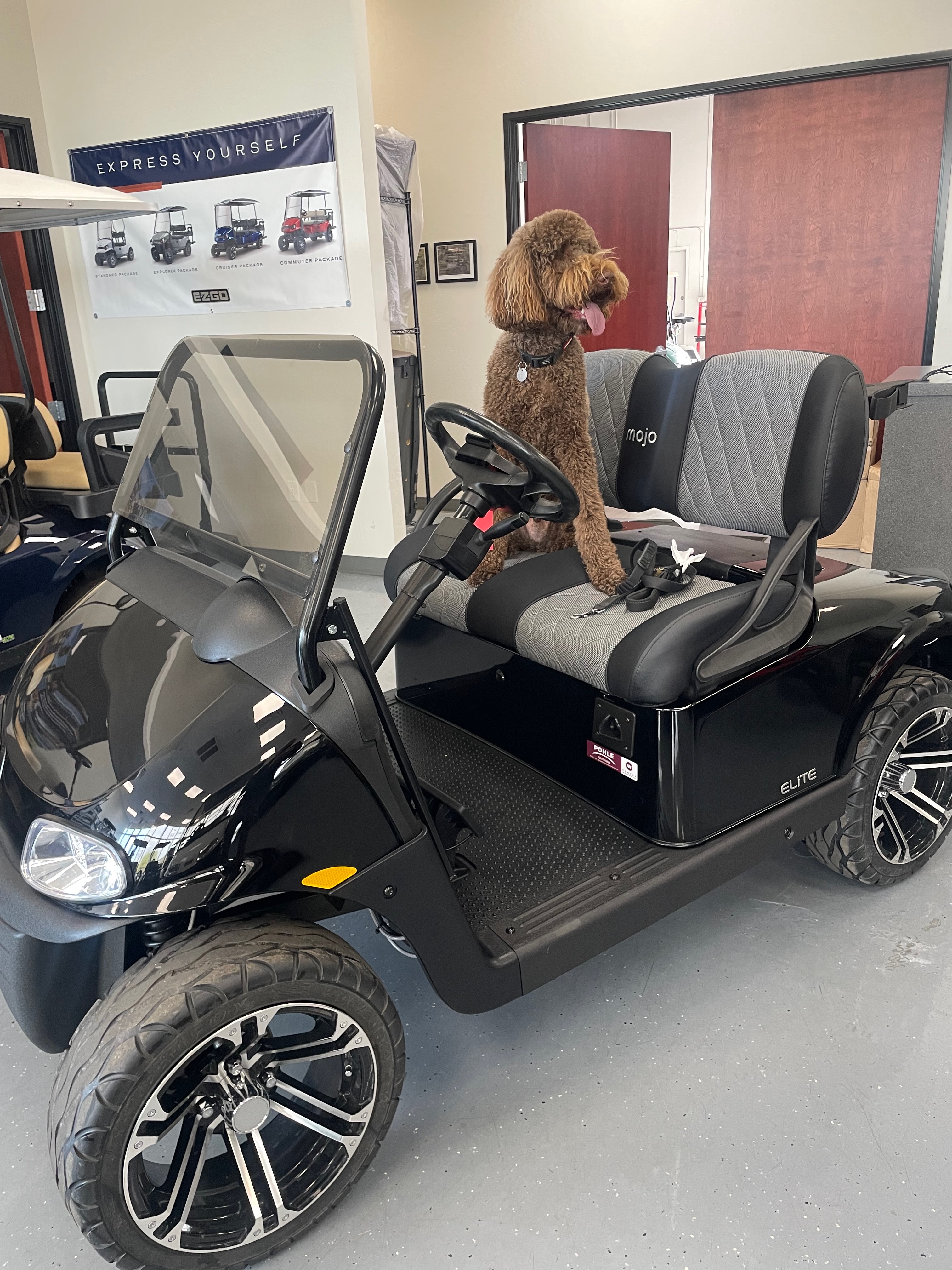 Picture of EZGO RXV Freedom 5453027 *