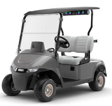 EZGO RXV ELiTE FREEDOM 5963107