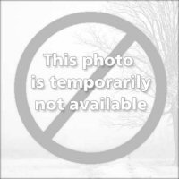 No Picture Available For This Car