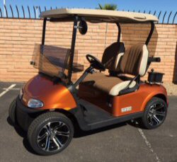 Picture of Optional New Paint Color 2