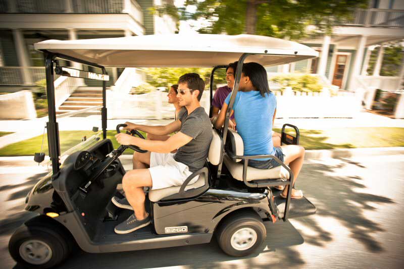 Picture of E-Z-GO Freedom RXV