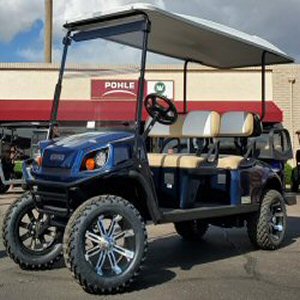 Go To Multi-Passenger Car Inventory Page