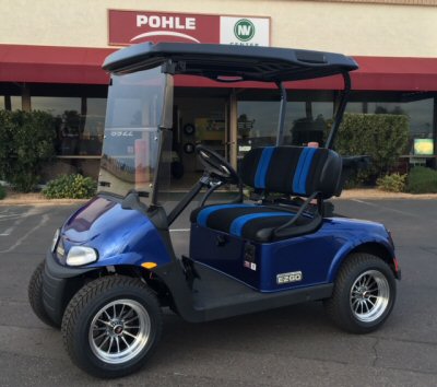 Picture of RXV Electric Blue Car Color